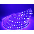 Decoration 110v 220v 5050 smd multicolor outdoor 5050 rgb cct led strip